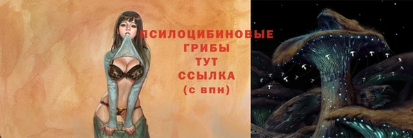 соль курить ск Михайлов