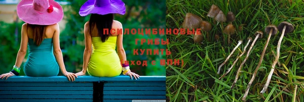 соль курить ск Михайлов