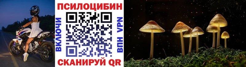 Галлюциногенные грибы GOLDEN TEACHER  наркотики  Чапаевск 