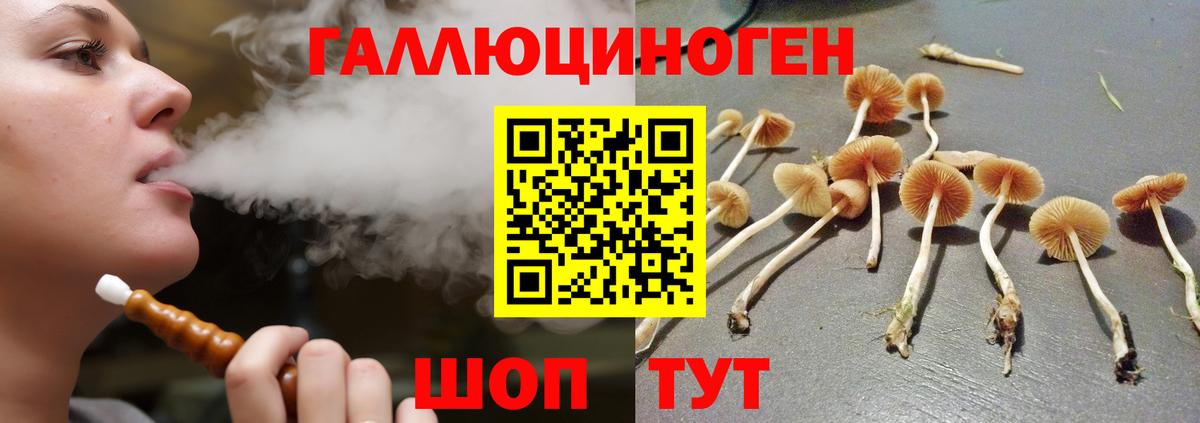 Галлюциногенные грибы мицелий Чапаевск